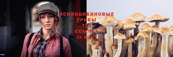 ПСИЛОЦИБИНОВЫЕ ГРИБЫ Лихославль