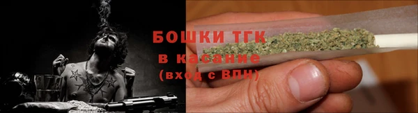 ПСИЛОЦИБИНОВЫЕ ГРИБЫ Лихославль