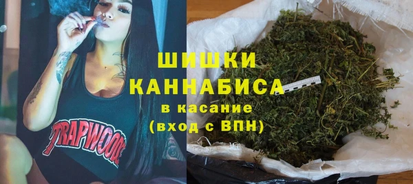 дурь Тобольск