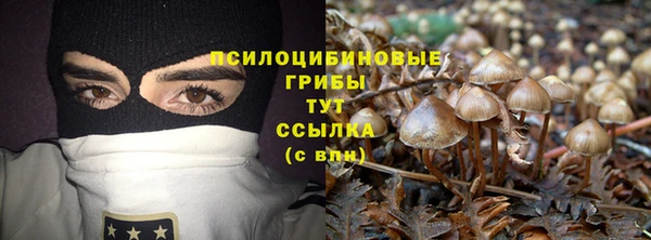 2c-b Лиски