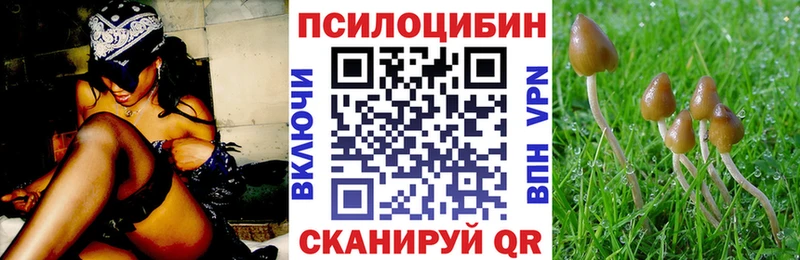 где найти   Харабали  Галлюциногенные грибы GOLDEN TEACHER 